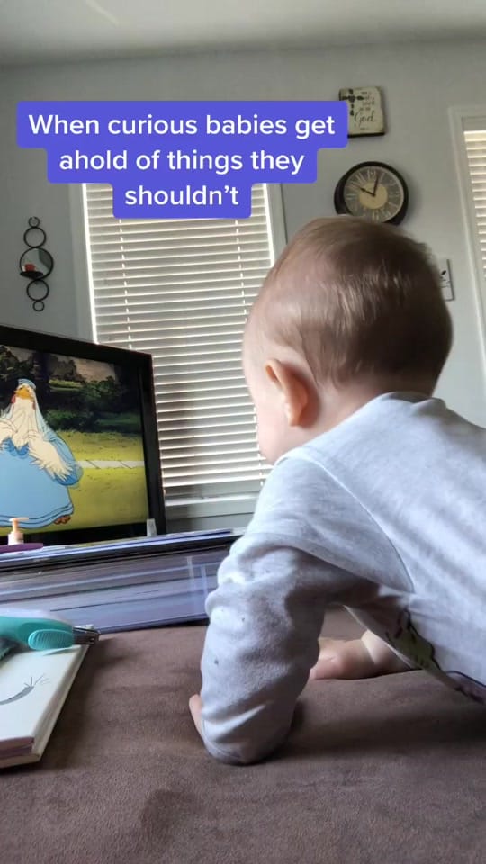 Post 8 by Robbie Vogl on TikTok (video)