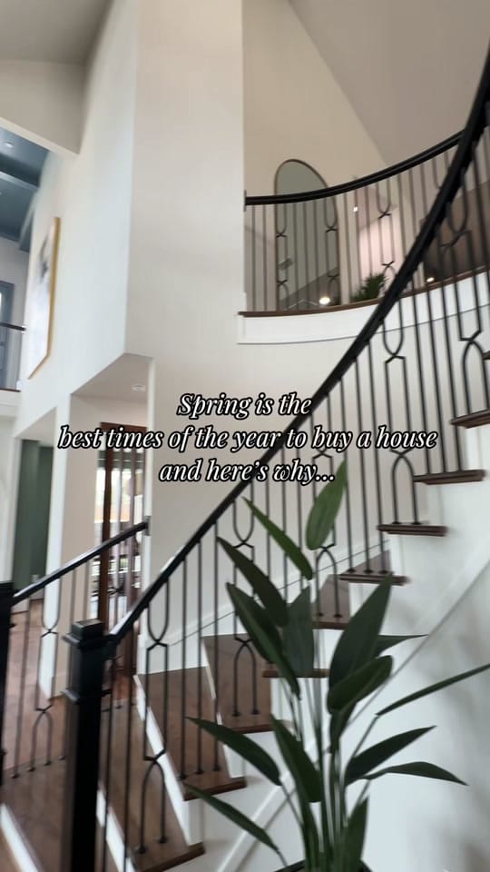 Post 8 by Mariana on TikTok (video)