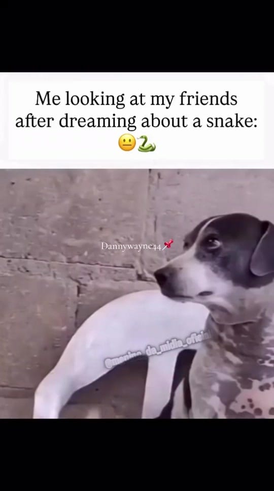 Post 4 by dannywanye44 on TikTok (video)