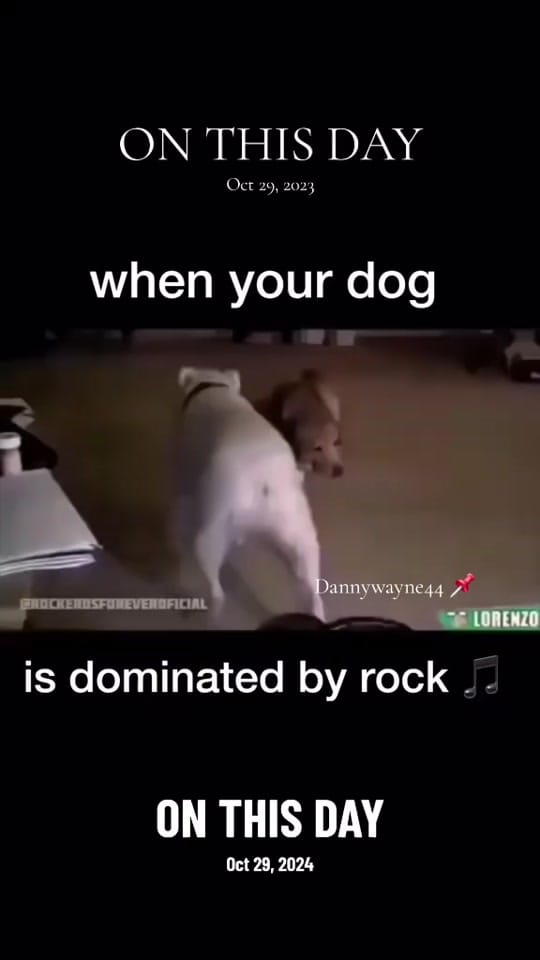 Post 8 by dannywanye44 on TikTok (video)