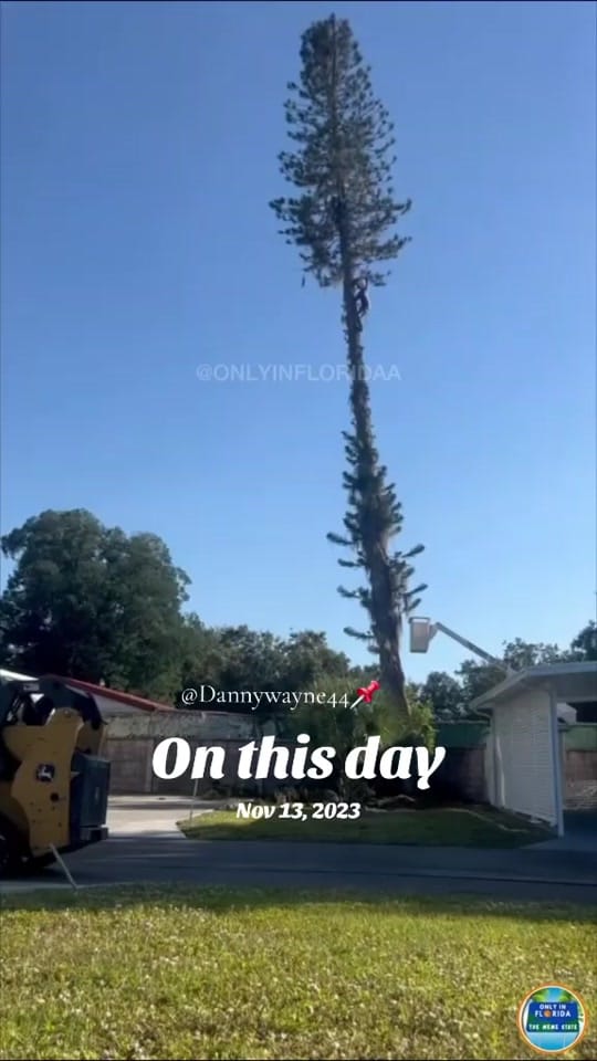 Post 7 by dannywanye44 on TikTok (video)