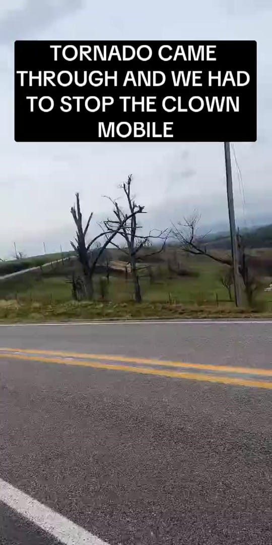 Post 4 by Insane Labz Official on TikTok (video)