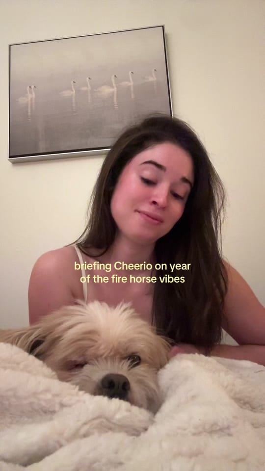 Post 5 by Daria LeGrand ✨ on TikTok (video)