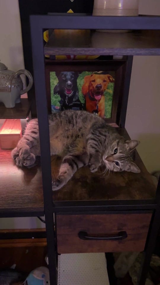 Post 1 by Sarah B @thinkingaboutyoga on TikTok (video)
