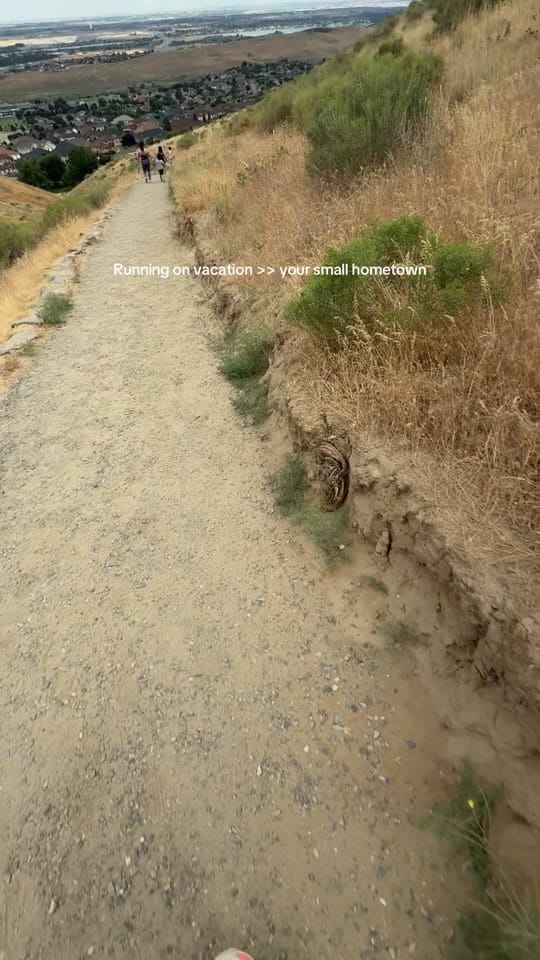 Post 6 by Jenessah on TikTok (video)