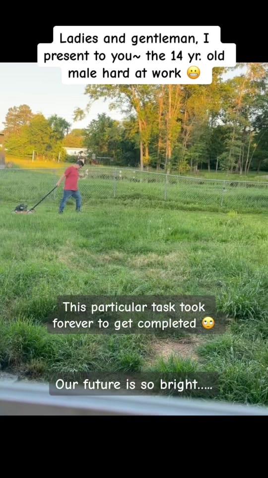 Post 9 by Heather LaCoste McClain on TikTok (video)