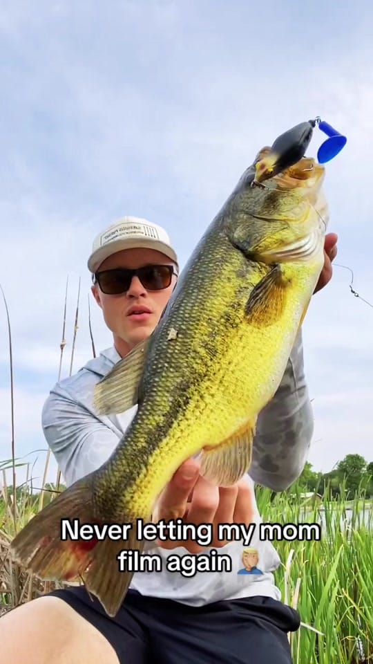 Post 4 by Kale on TikTok (video)
