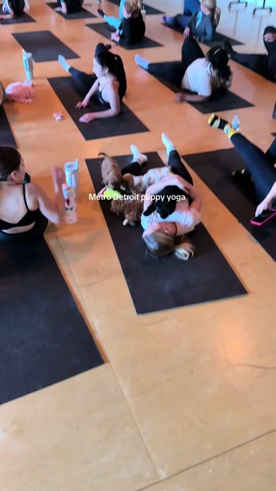 Post 10 by emma cassidy on TikTok (video)