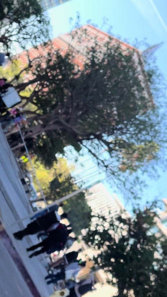 Post 6 by Usman on TikTok (video)