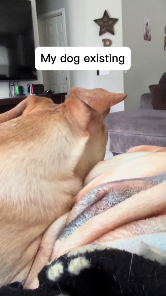 Post 4 by sarahruiz ✝️💜 on TikTok (video)