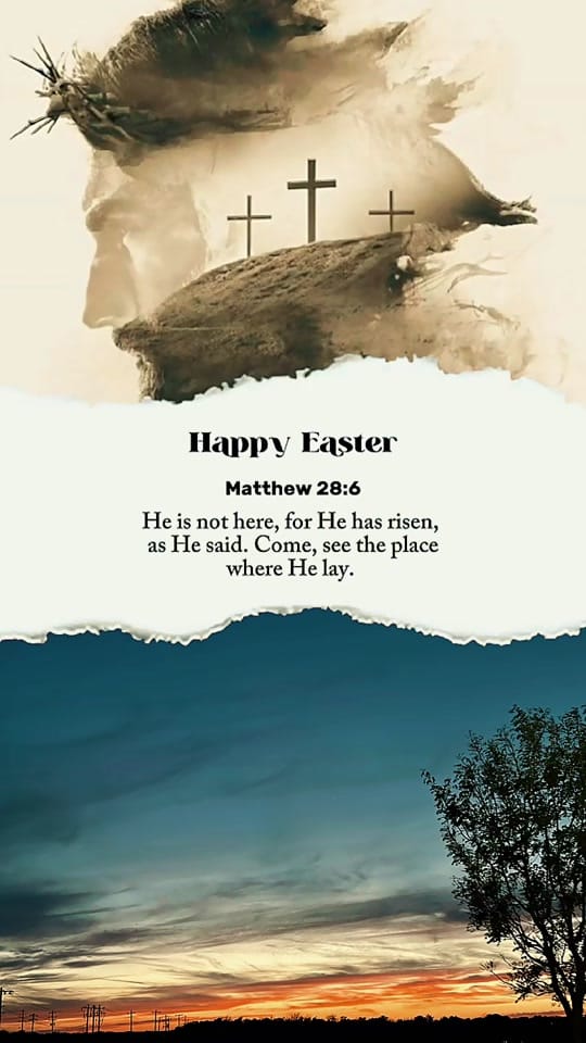 Post 3 by sarahruiz ✝️💜 on TikTok (video)
