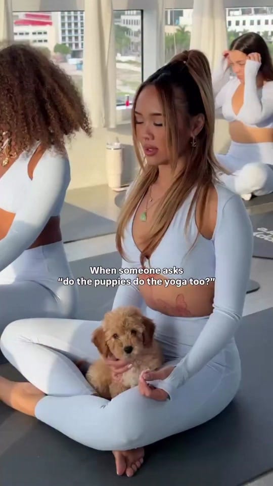 Post 3 by Puppy Sphere 🤍 on TikTok (video)