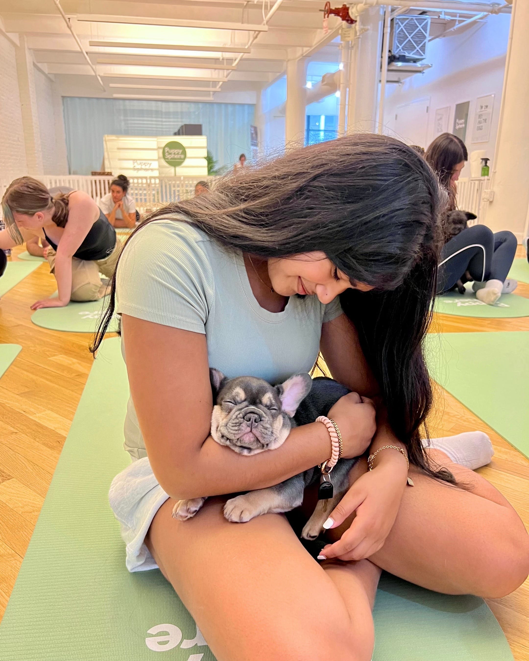 Post 5 by Puppy Sphere 🤍 on TikTok (video)