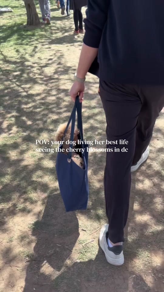 Post 2 by Rachel on TikTok (video)