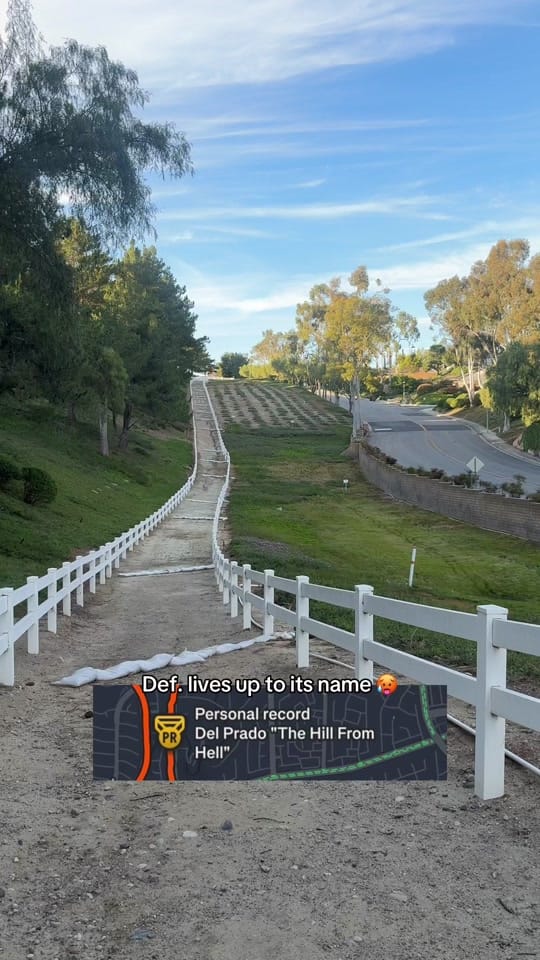 Post 9 by _littlemissdaisyyy on TikTok (video)