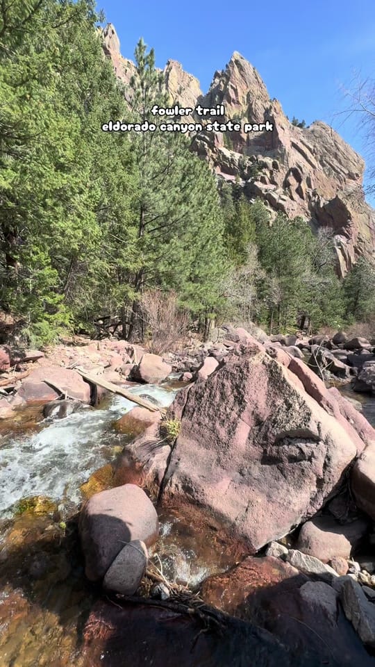 Post 4 by Katie Olzewski | Dietitian on TikTok (video)