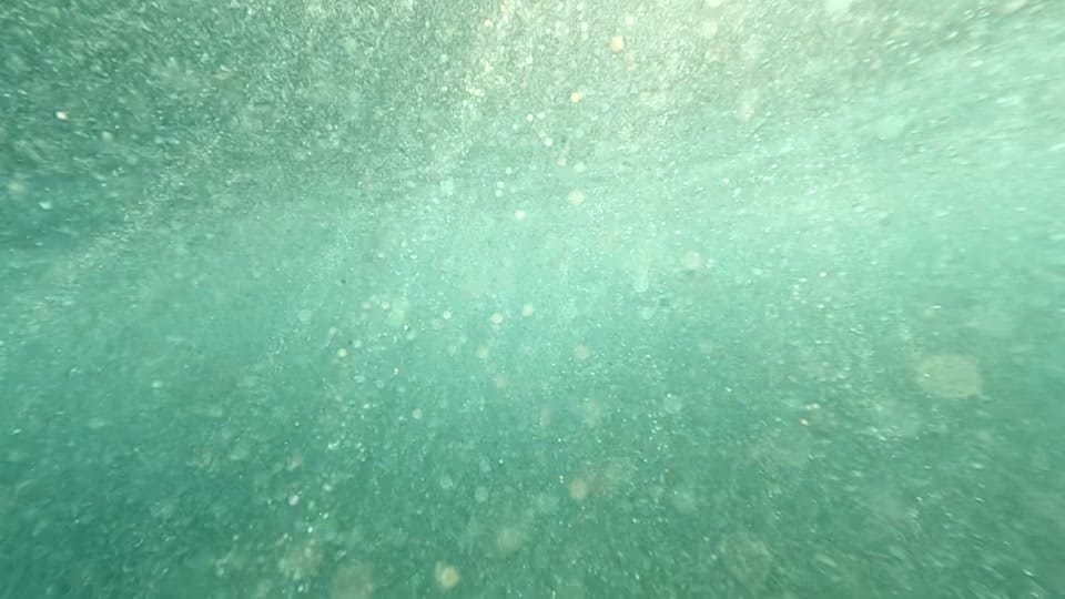 Post 6 by Levon Basso on TikTok (video)