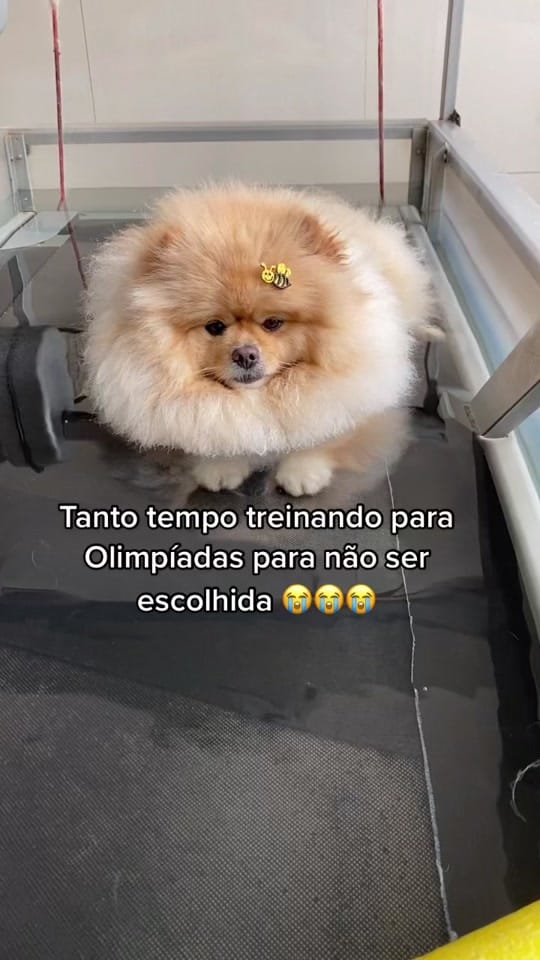 Post 8 by LUNA BELLA on TikTok (video)