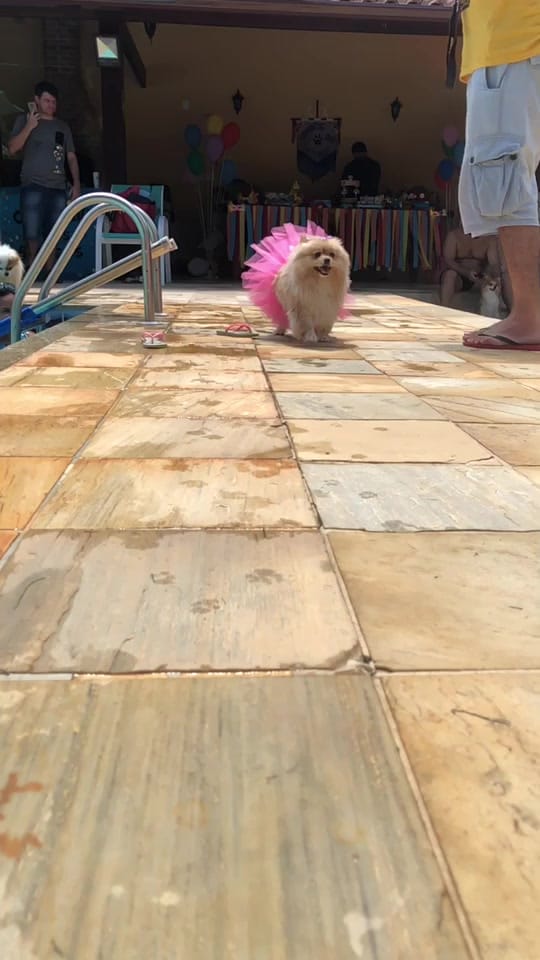 Post 10 by LUNA BELLA on TikTok (video)