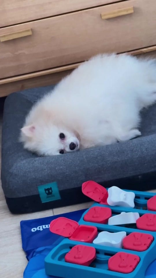 Post 4 by LUNA BELLA on TikTok (video)