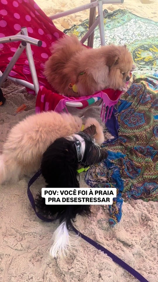 Post 7 by LUNA BELLA on TikTok (video)
