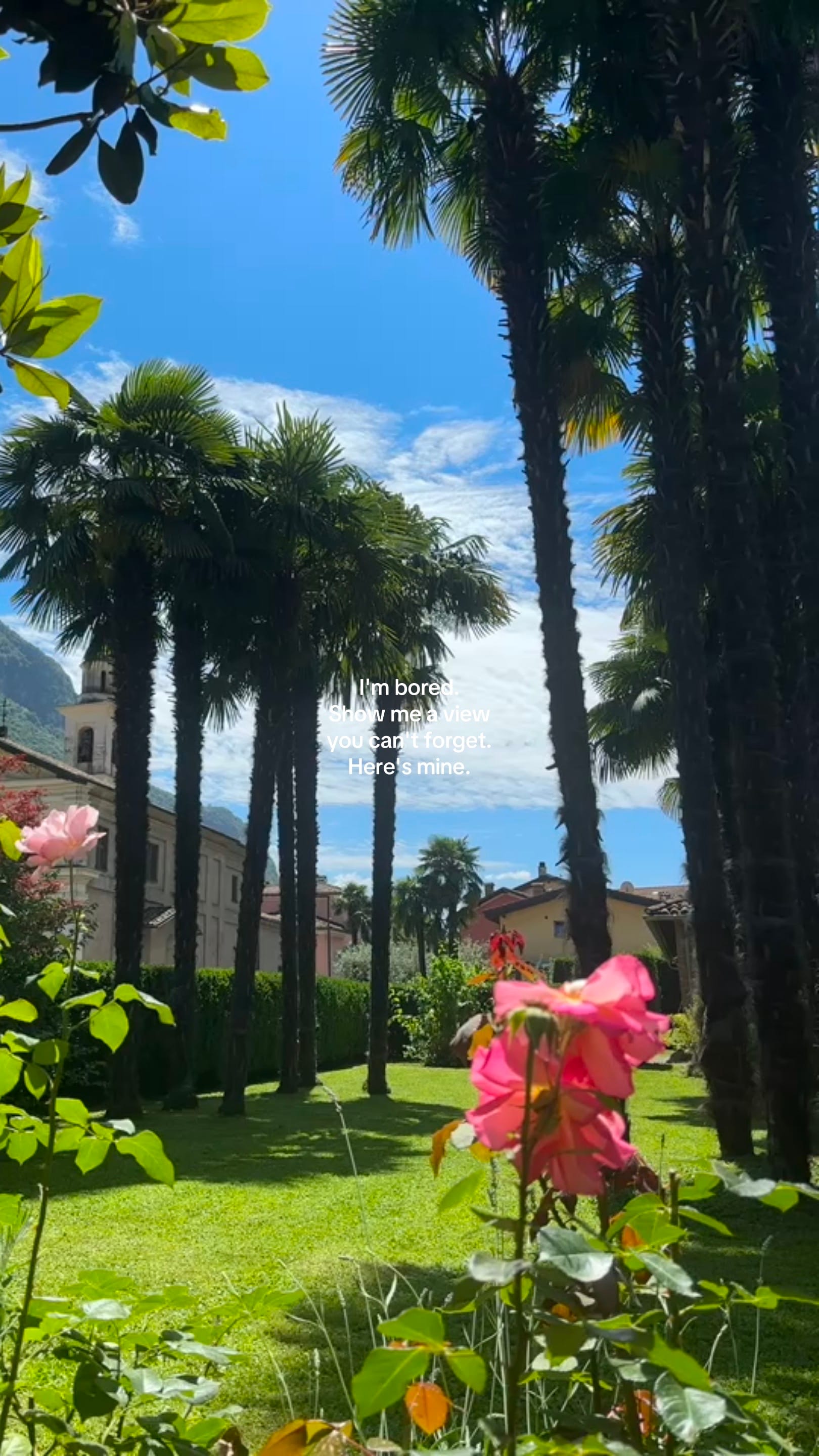 Post 3 by Julia Vecharello on TikTok (video)
