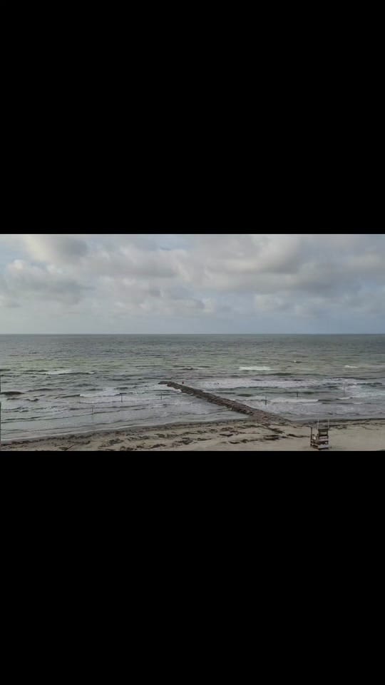 Post 7 by 🦌👑TexNess❌️😻🐦🦊🦚🦝🦨🐿⚜️ on TikTok (video)