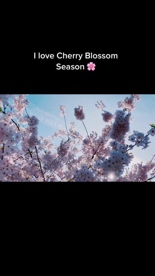 Post 8 by Lyndz Paul on TikTok (video)