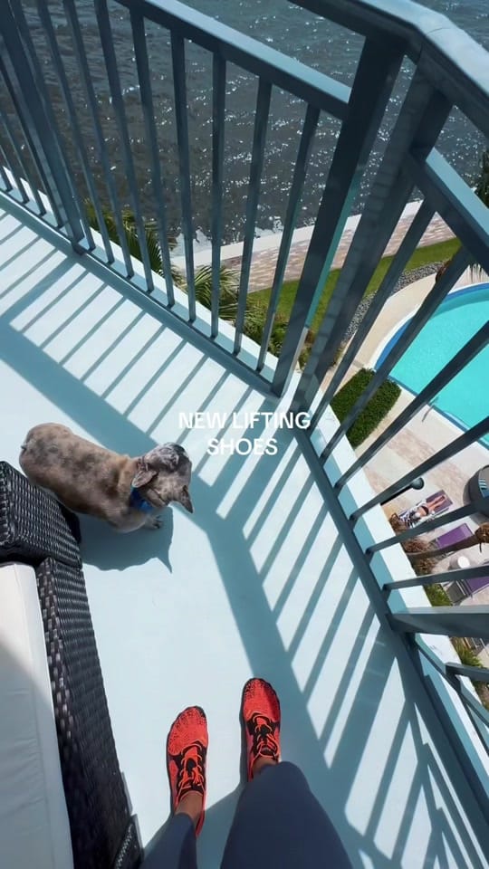 Post 8 by Amber Domond on TikTok (video)