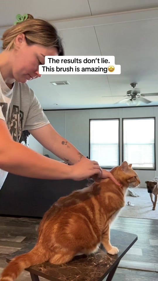 Post 8 by Madison | mom life🤍 on TikTok (video)