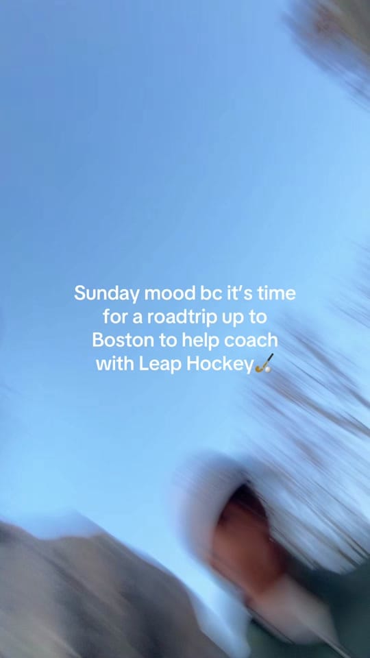 Post 5 by Linnea Gonzales on TikTok (video)