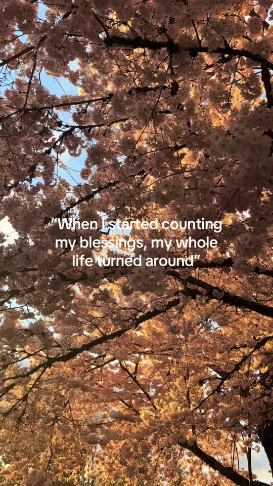 Post 6 by slinky.stars on TikTok (video)