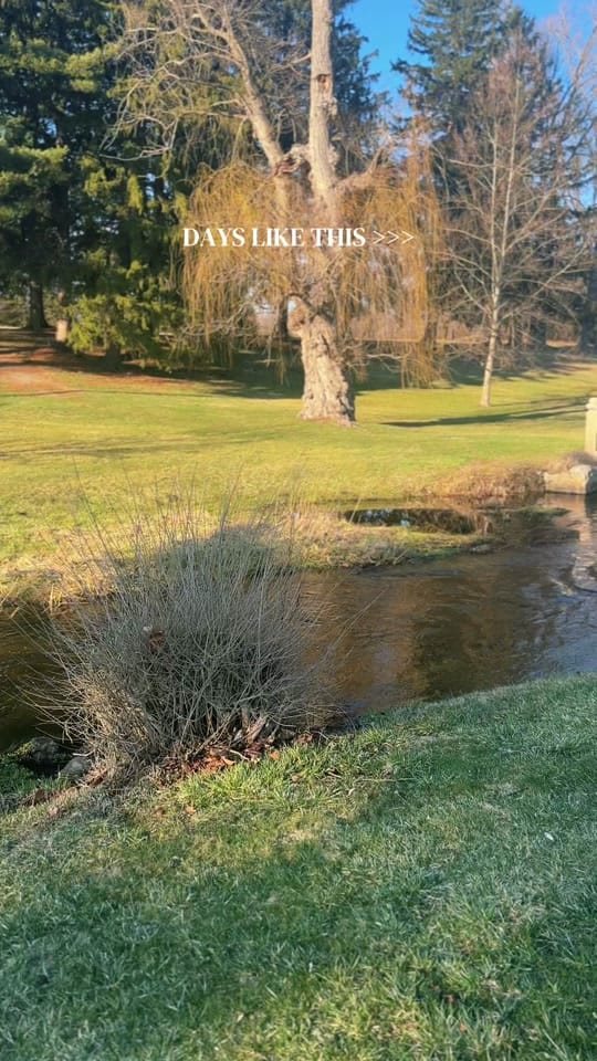 Post 5 by Emma | Fitness + Mom Life on TikTok (video)