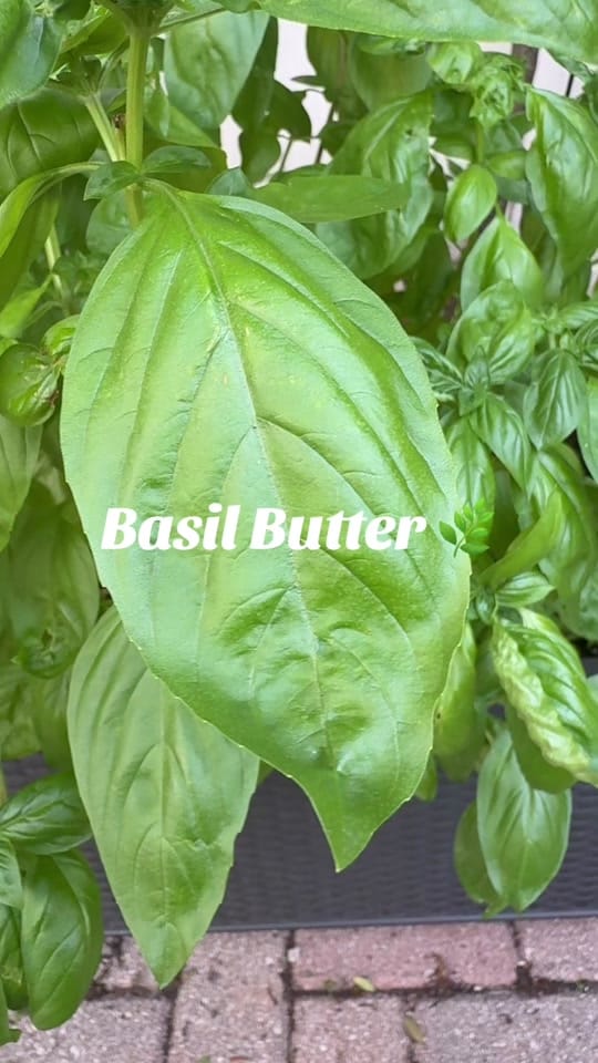 Post 8 by RealFrankFromFlorida on TikTok (video)