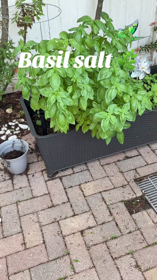Post 10 by RealFrankFromFlorida on TikTok (video)