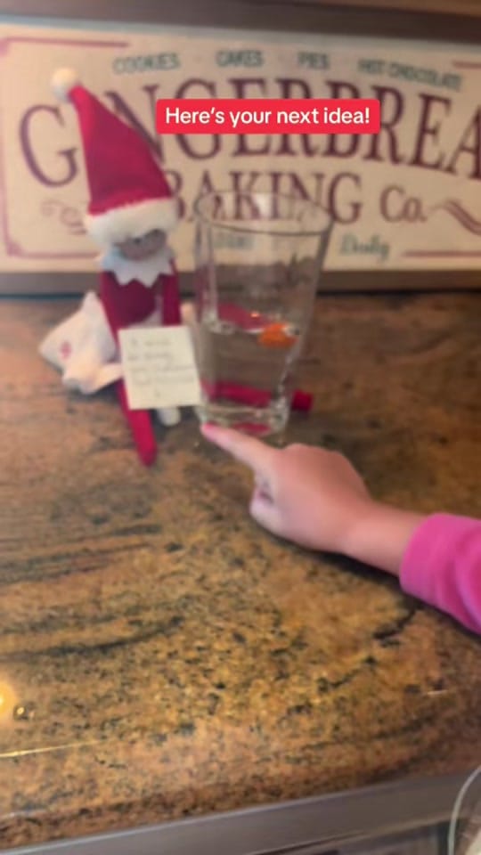 Post 8 by Ashley Lyn on TikTok (video)