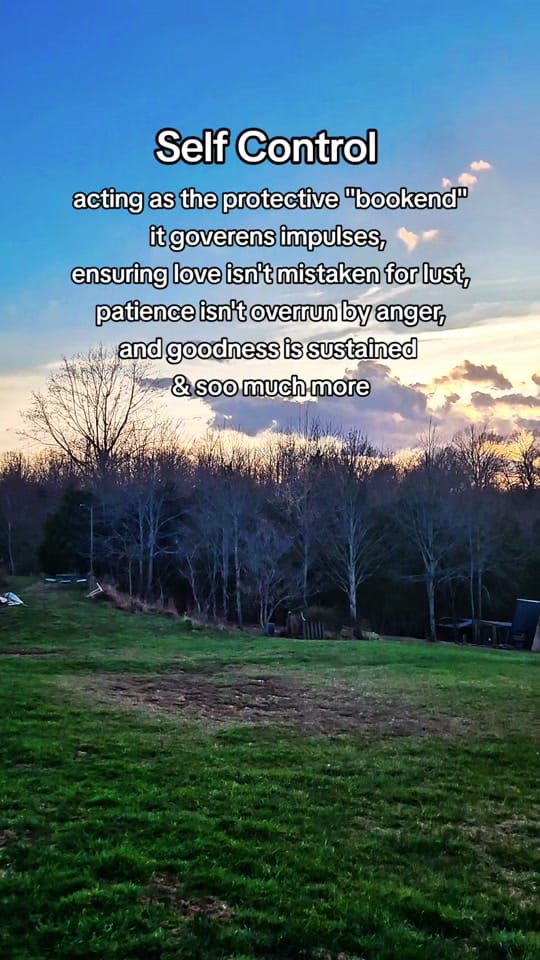 Post 4 by Nobaddayz on TikTok (video)
