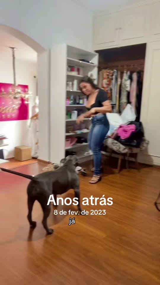 Post 2 by ellen on TikTok (video)