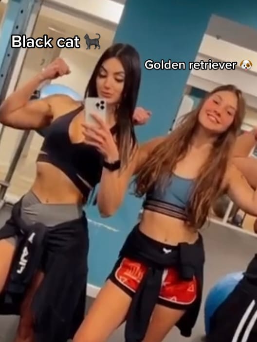Post 3 by Fanni Brito on TikTok (video)