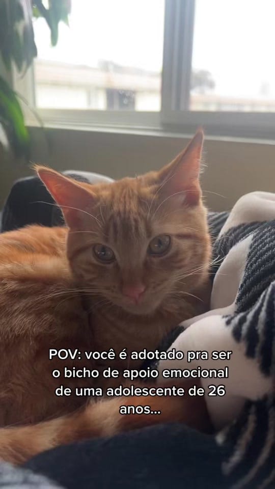 Post 8 by Fanni Brito on TikTok (video)