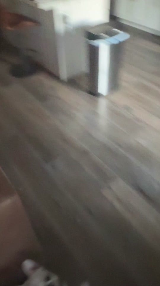 Post 4 by official_ckla on TikTok (video)