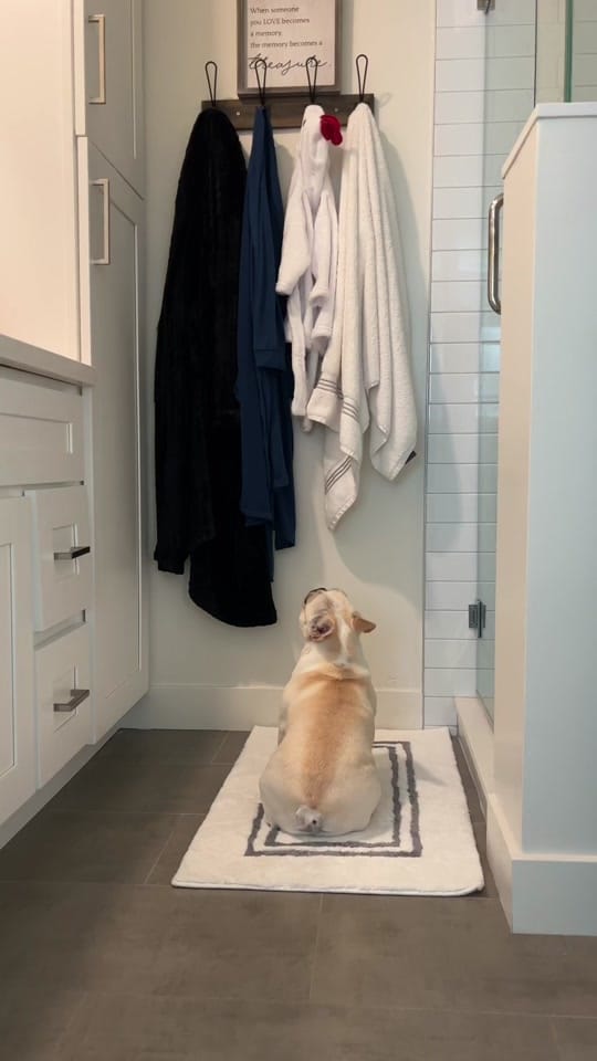Post 10 by official_ckla on TikTok (video)