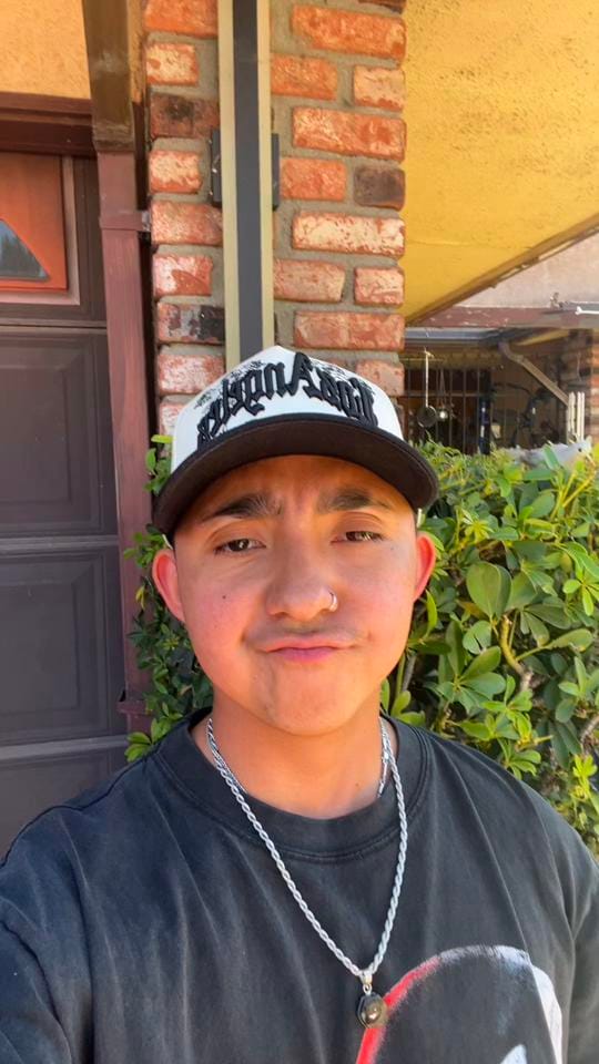 Post 8 by Fig on TikTok (video)
