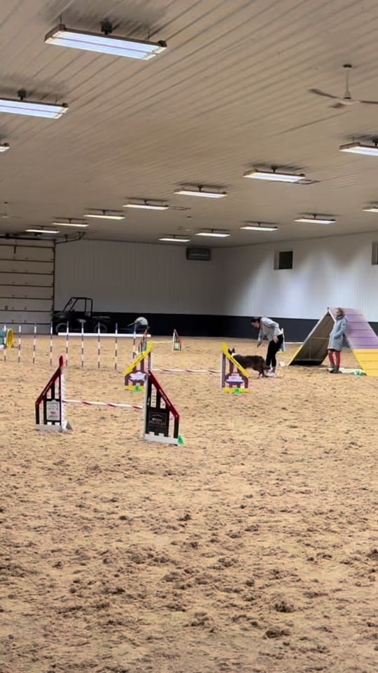 Post 3 by Natalie McAllister on TikTok (video)
