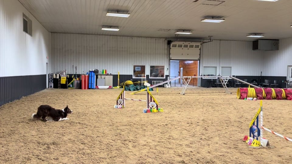 Post 7 by Natalie McAllister on TikTok (video)