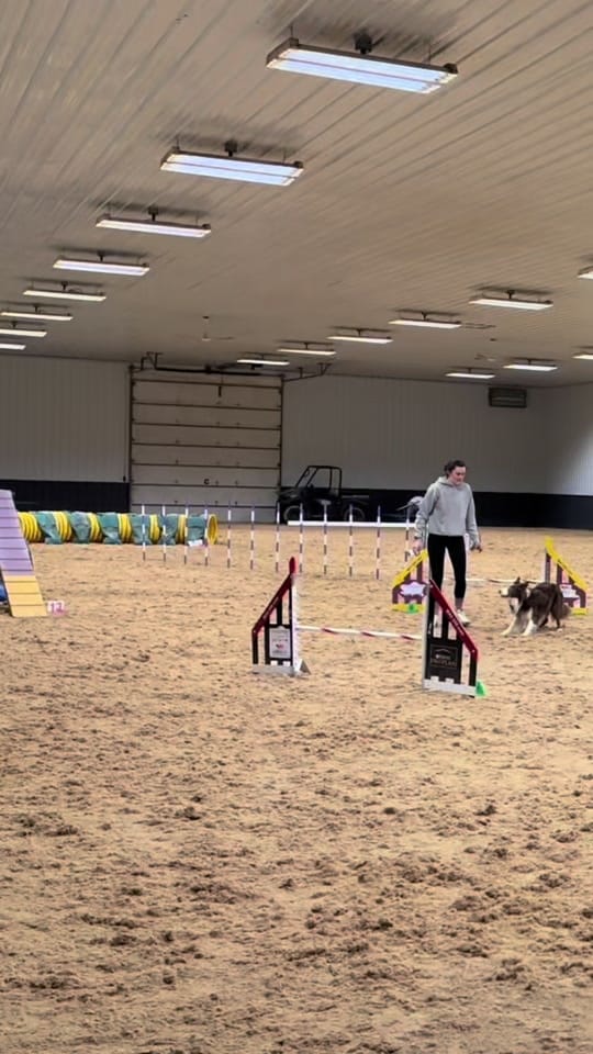 Post 4 by Natalie McAllister on TikTok (video)