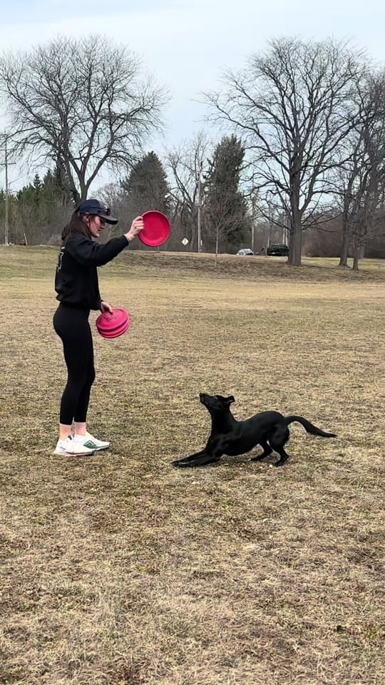 Post 2 by Natalie McAllister on TikTok (video)