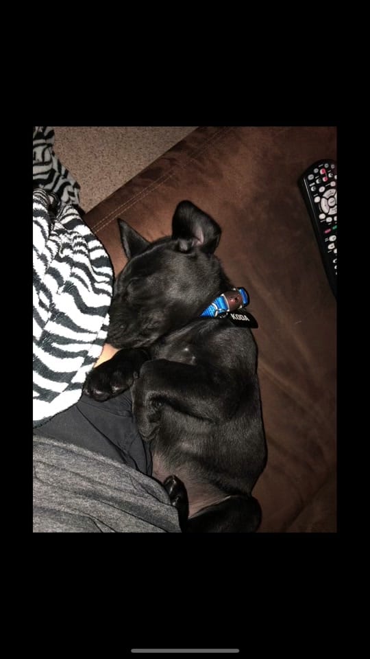 Post 4 by T. Boyer on TikTok (video)