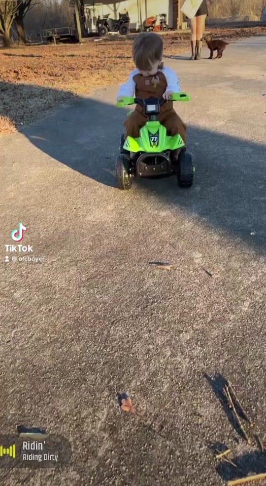 Post 7 by T. Boyer on TikTok (video)