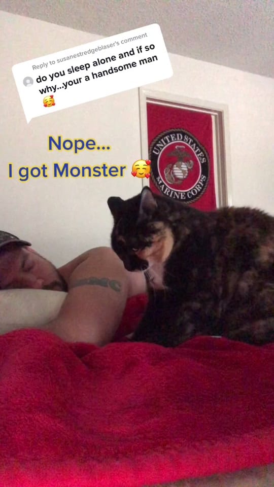 Post 9 by Neil on TikTok (video)